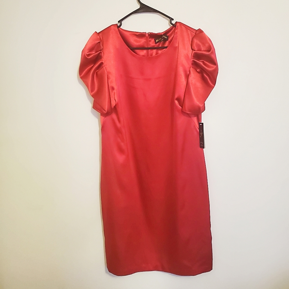 Shelby Nites red chiffon dress